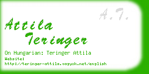 attila teringer business card
